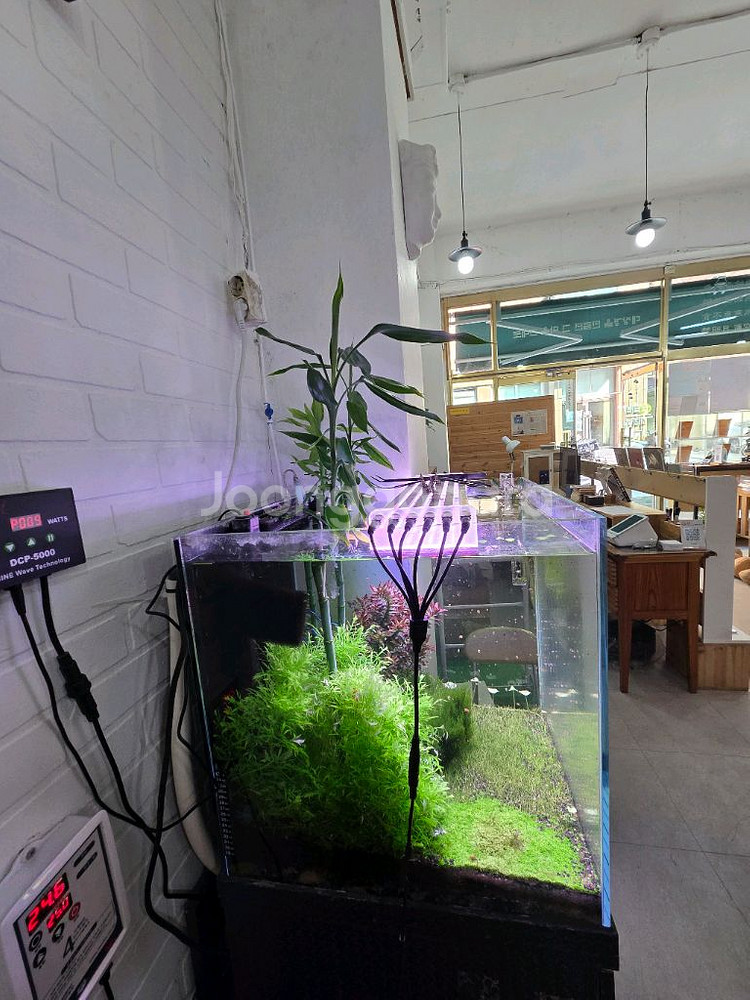 어항 세트 (온도조절기 포함)--0