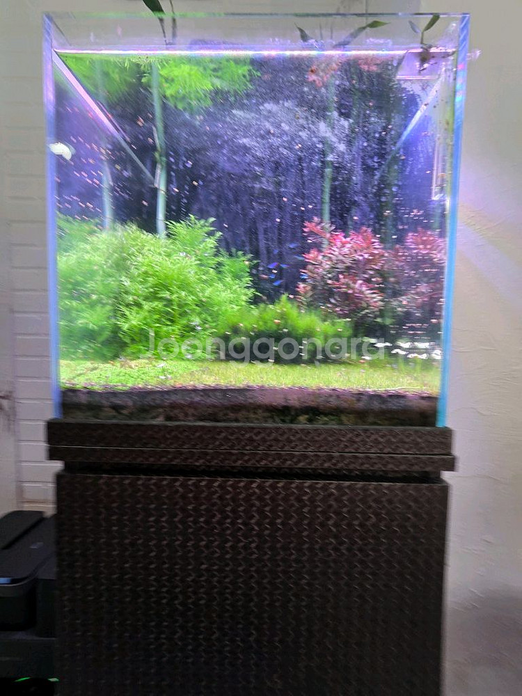 어항 세트 (온도조절기 포함)--3