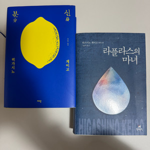 히가시노게이고 소설