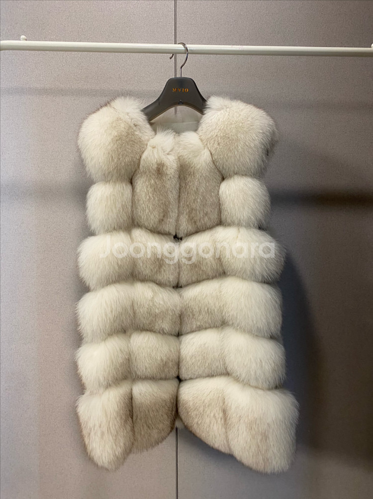 최상급 사가폭스 베스트--1