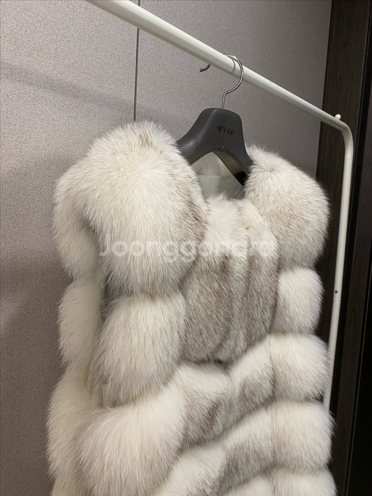 최상급 사가폭스 베스트--2