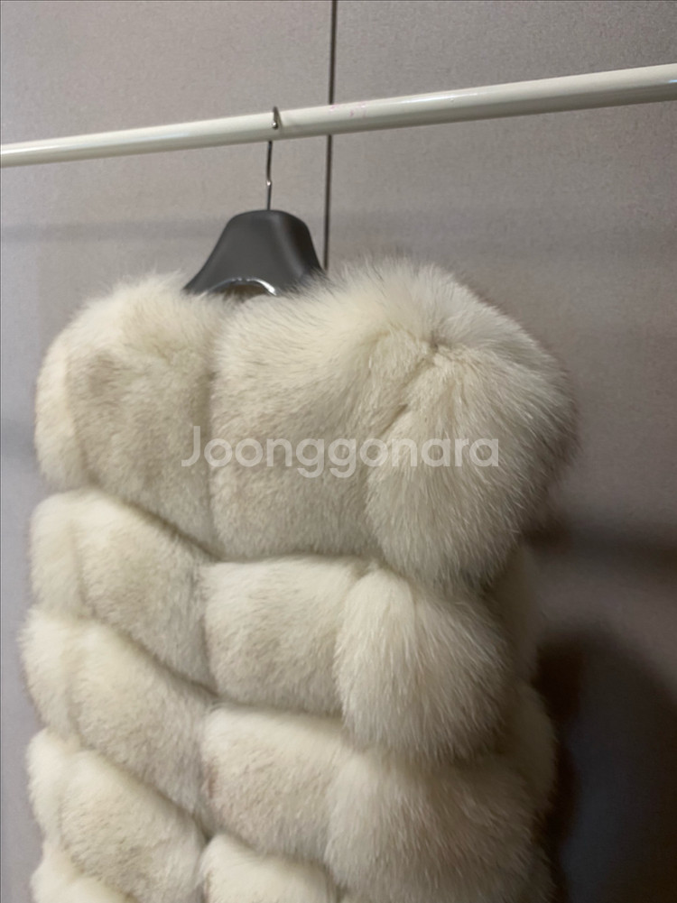 최상급 사가폭스 베스트--9