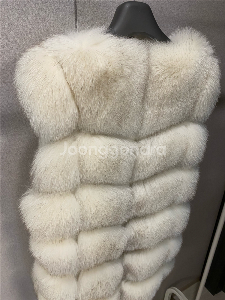 최상급 사가폭스 베스트--8