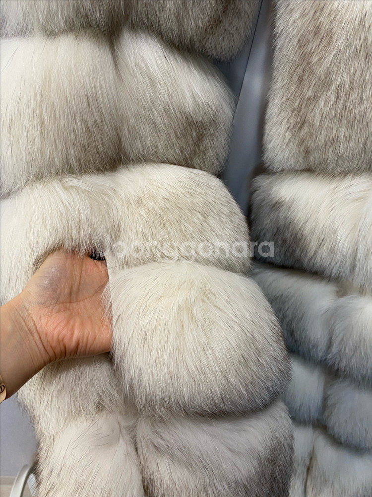 최상급 사가폭스 베스트--4