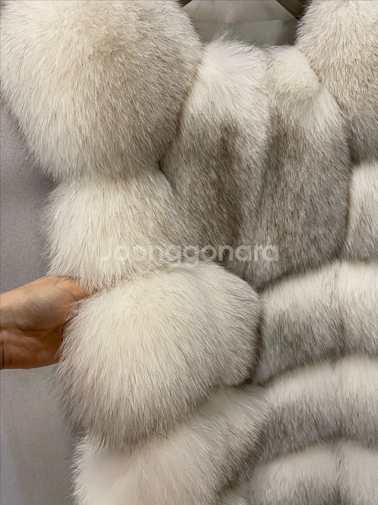 최상급 사가폭스 베스트--12