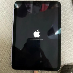 아이패드 미니 6세대 256 셀룰러 퍼플