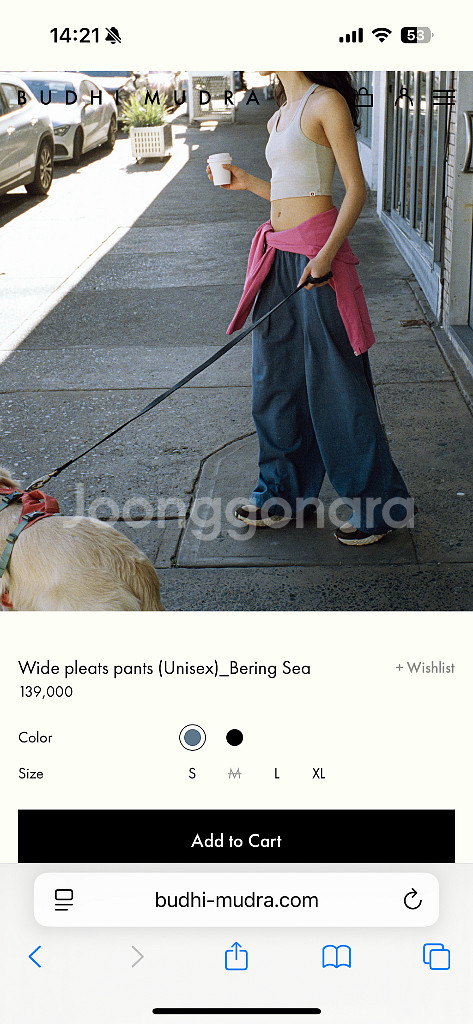부디무드라 Wide pleats pants 미듐--0