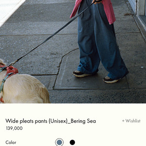 부디무드라 Wide pleats pants 미듐