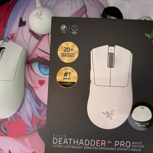 레이저 데스에더 v4 pro 하루 사용 판매