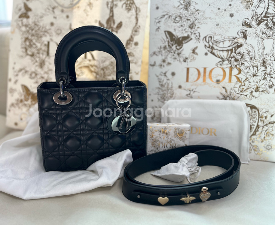 디올 레이디백 스몰--0