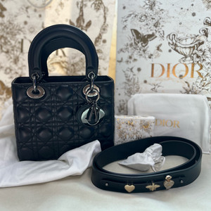 디올 레이디백 스몰