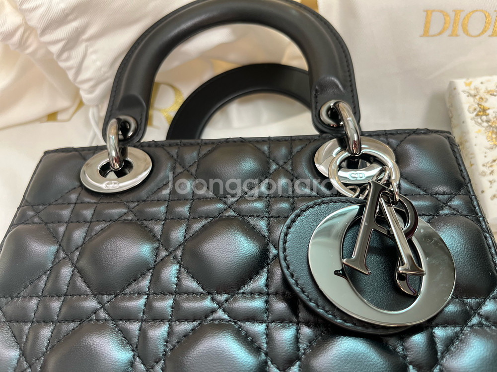 디올 레이디백 스몰--3