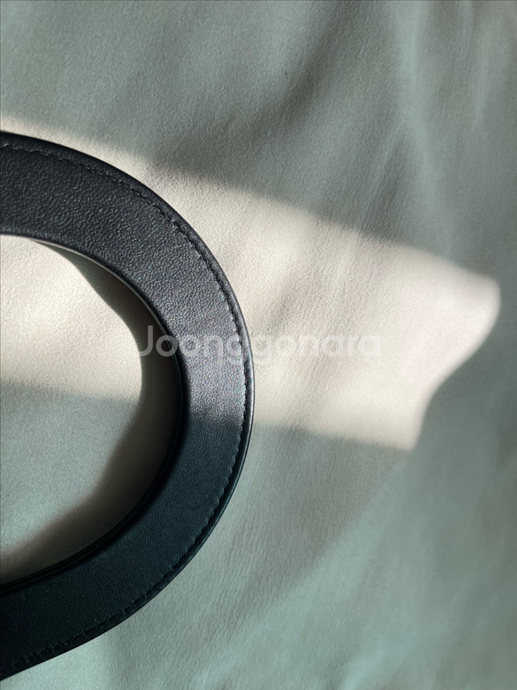 디올 레이디백 스몰--6