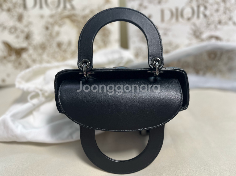 디올 레이디백 스몰--4