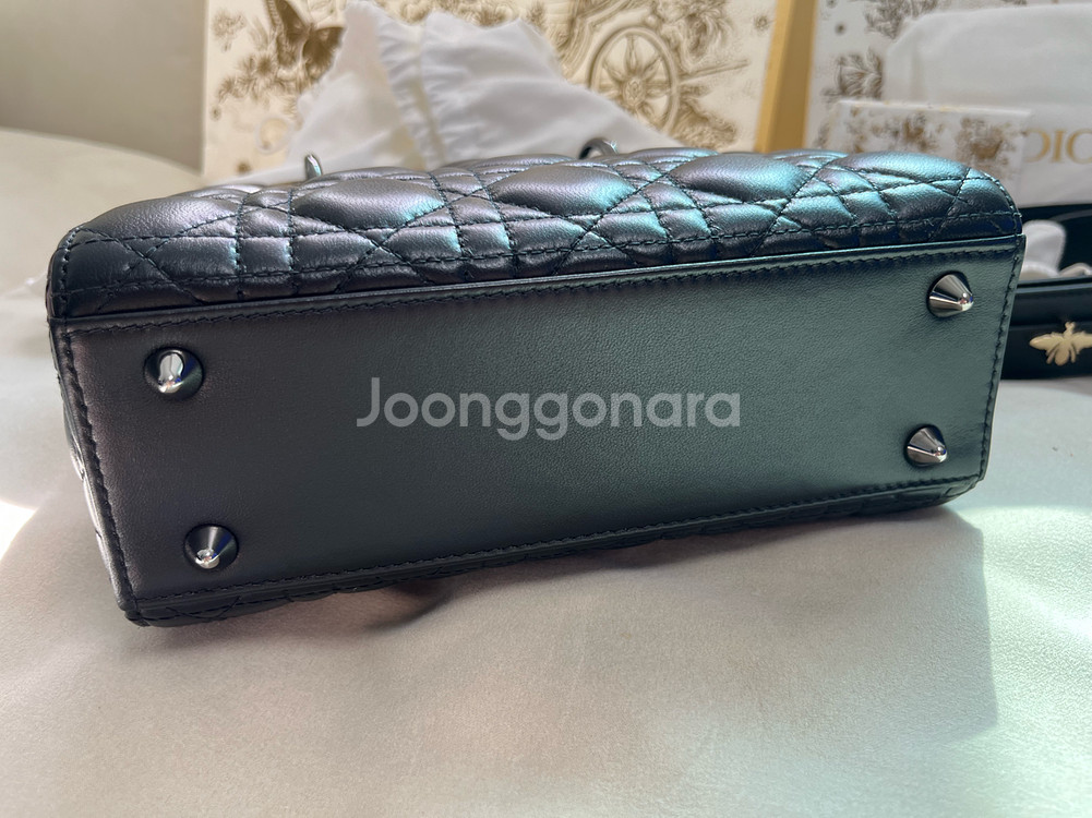 디올 레이디백 스몰--5