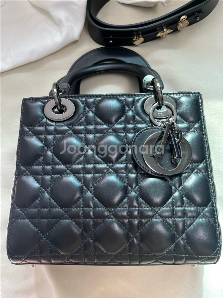 디올 레이디백 스몰--1