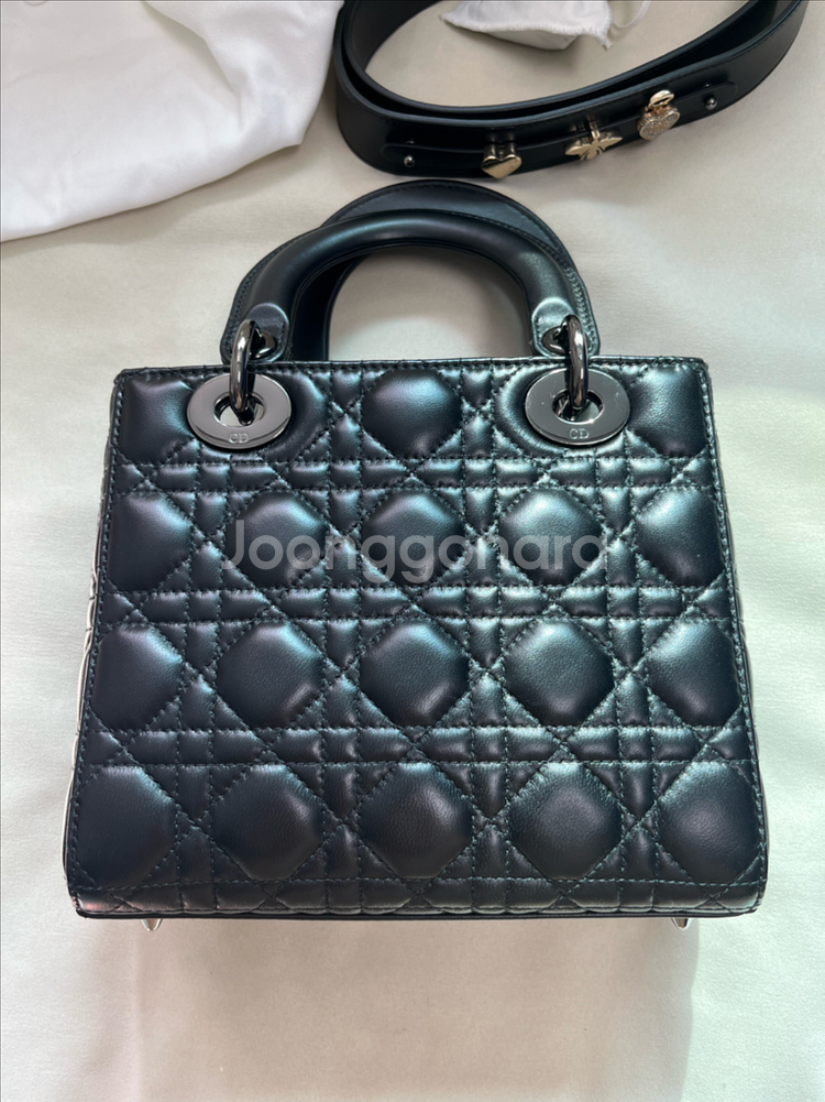 디올 레이디백 스몰--2