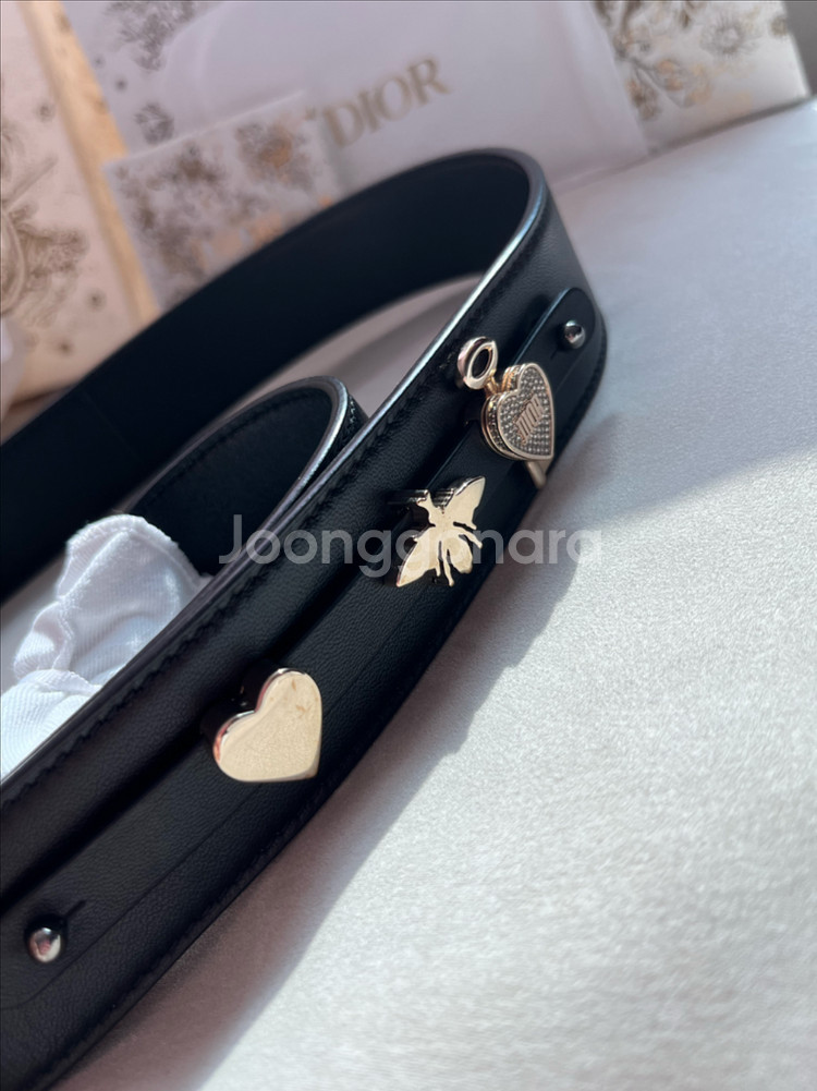 디올 레이디백 스몰--7