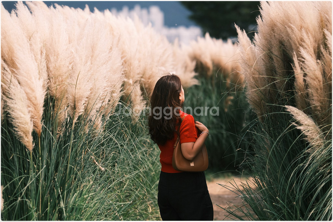 빌트록스 프로 75mm f1.2 판매--6