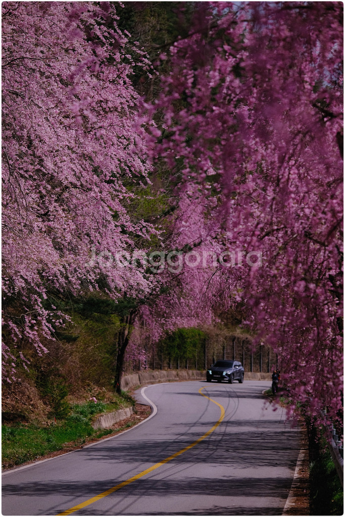 빌트록스 프로 75mm f1.2 판매--4