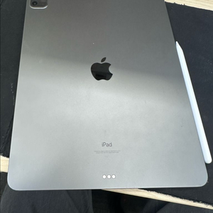 급쳐 아이패드 프로 12.9 M1 128GB 와이파이 + 애플펜슬