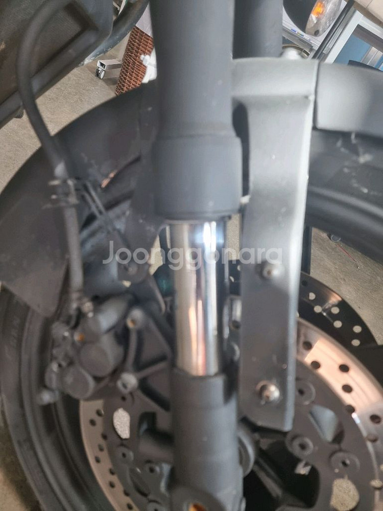 미라쥬650 캬브레다 대구--4