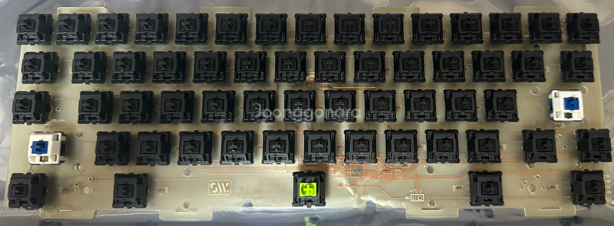 JJW x SW Integral wkl 실버--1