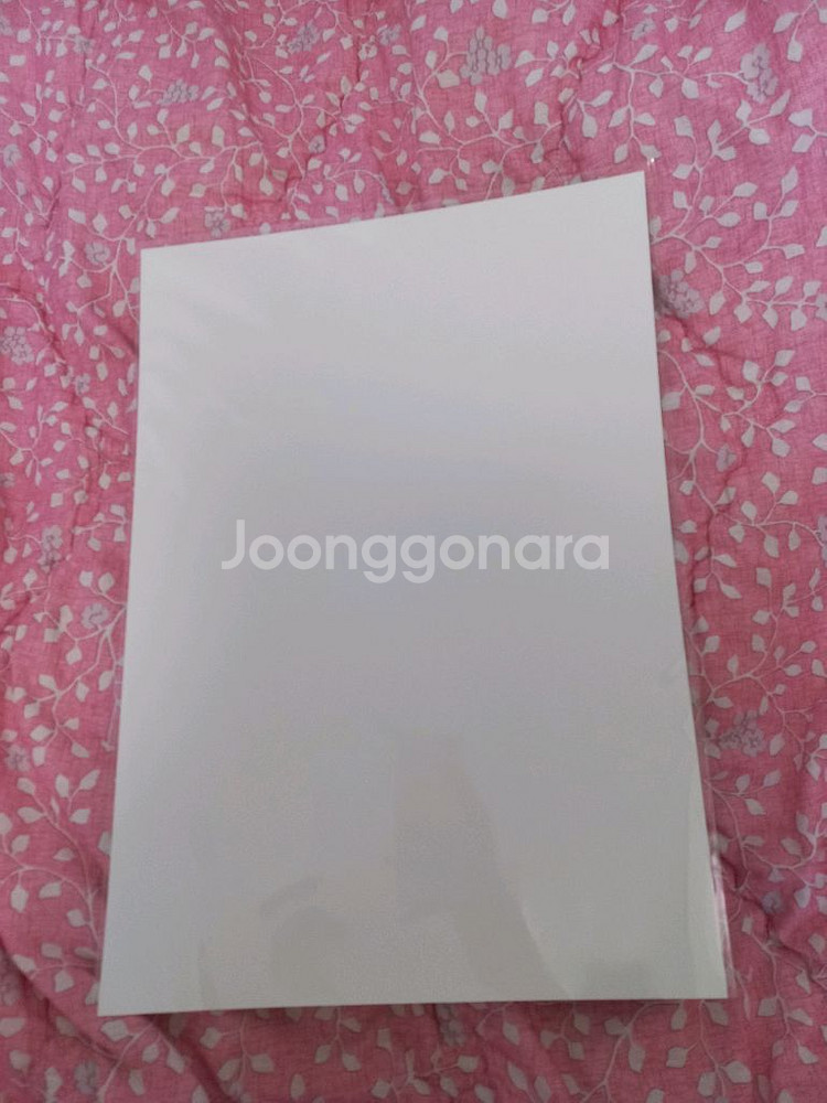 반지의제왕 반지원정대 돌비 포스터--1