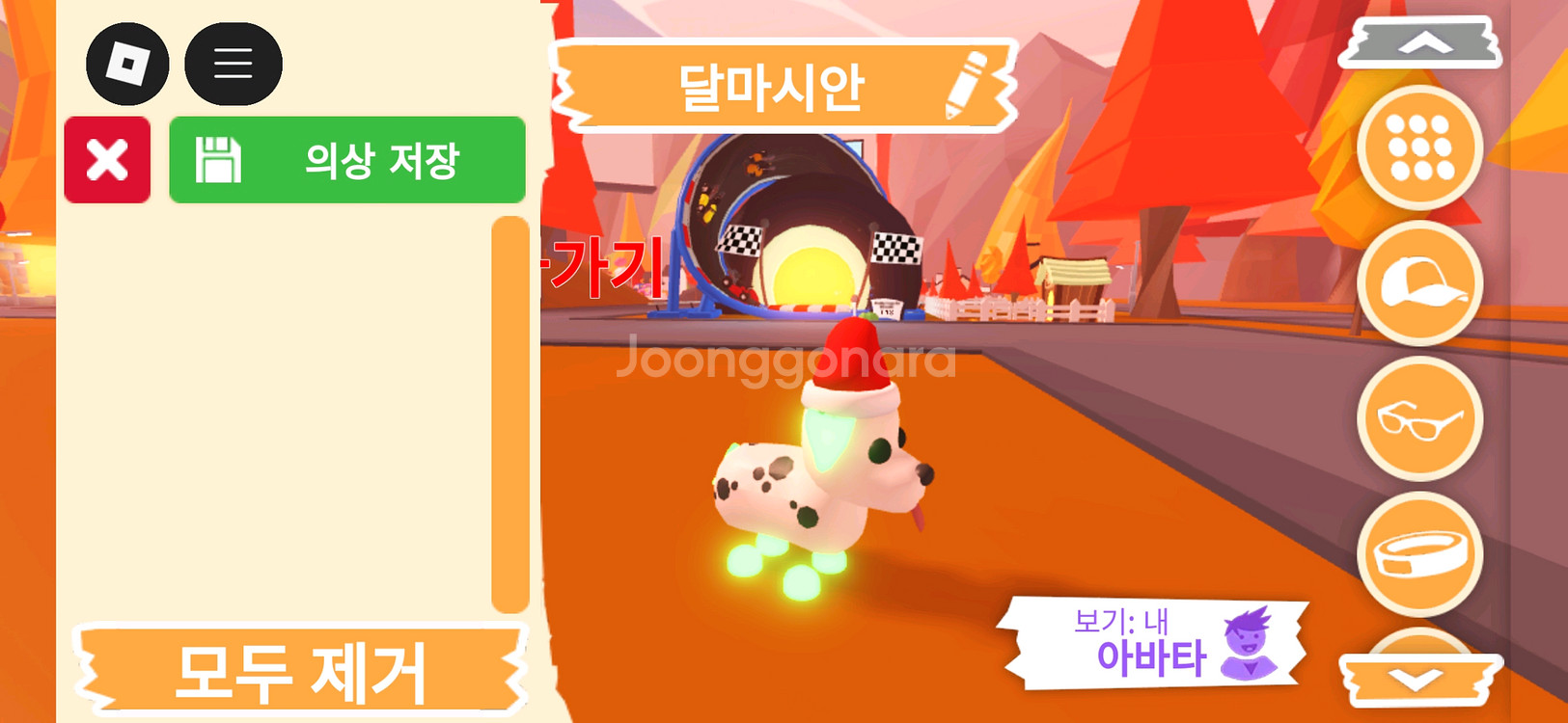 입양하세요 펫 네온 달마시안(네산강) 판매합니다.--1