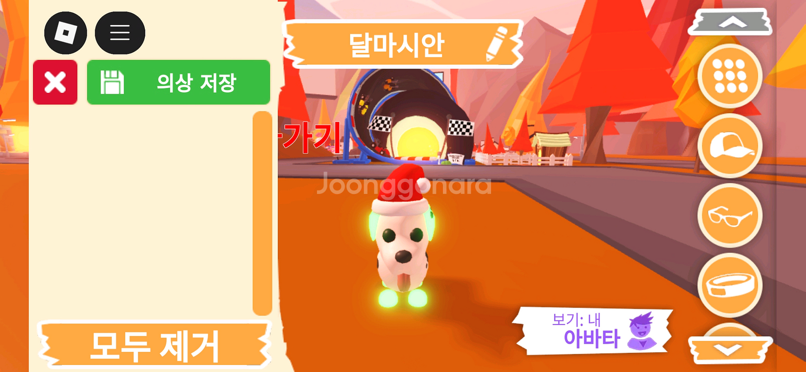 입양하세요 펫 네온 달마시안(네산강) 판매합니다.--0