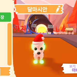 입양하세요 펫 네온 달마시안(네산강) 판매합니다.