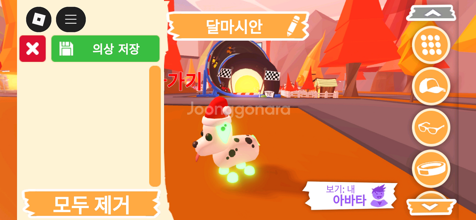 입양하세요 펫 네온 달마시안(네산강) 판매합니다.--2