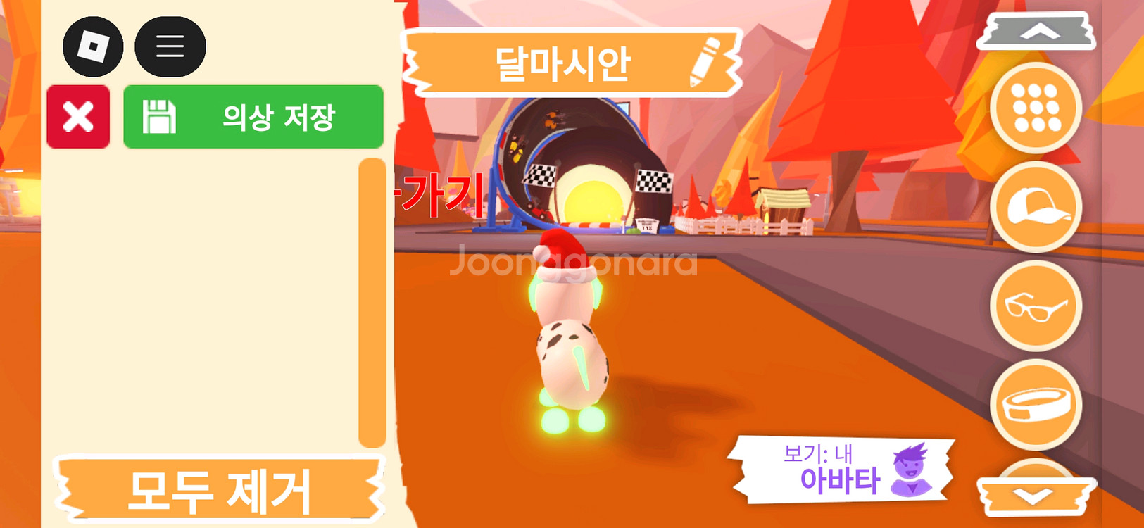 입양하세요 펫 네온 달마시안(네산강) 판매합니다.--3