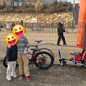 위후 아이고 weehoo igo 페달트레일러