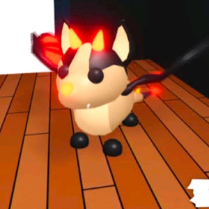 입양하세요 네온박드 삽니다