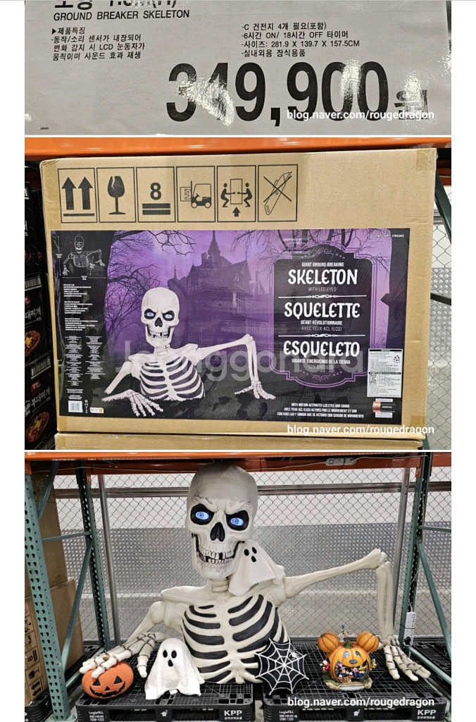 할로윈 스켈레톤 인형 장식품--1