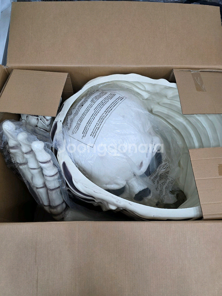 할로윈 스켈레톤 인형 장식품--2