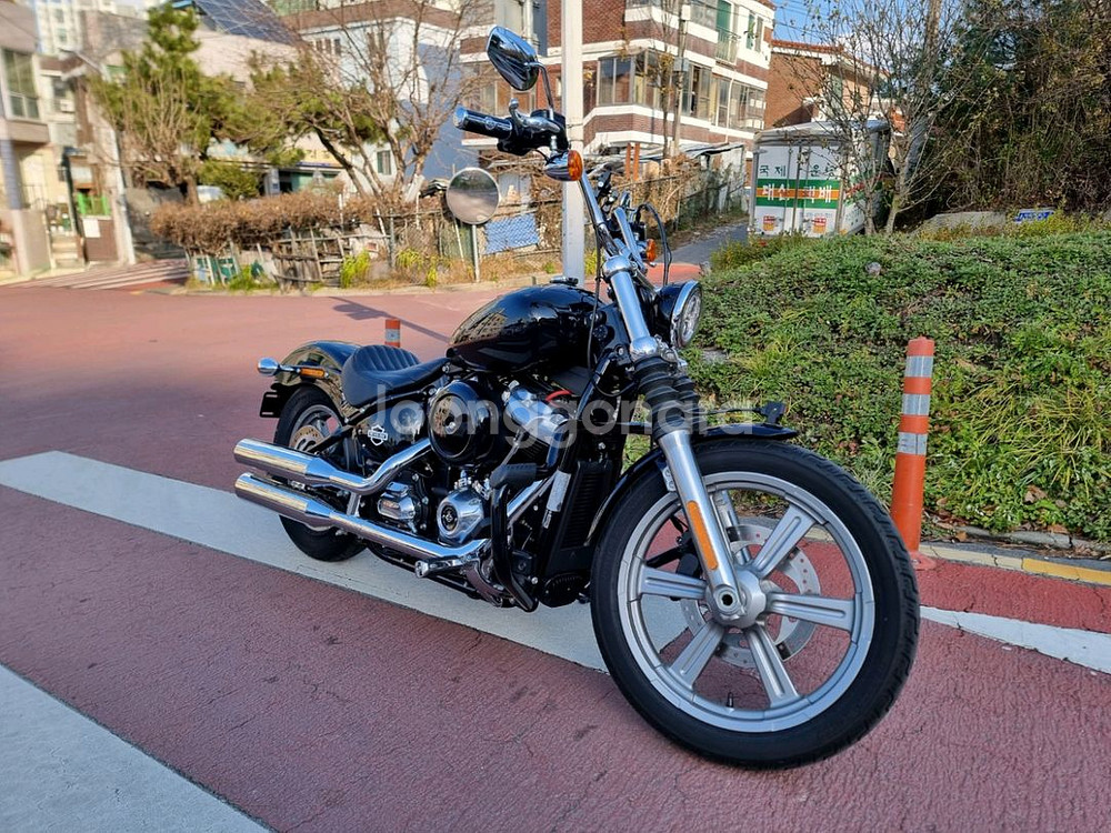 할리데이비슨 소프테일 스탠다드--1