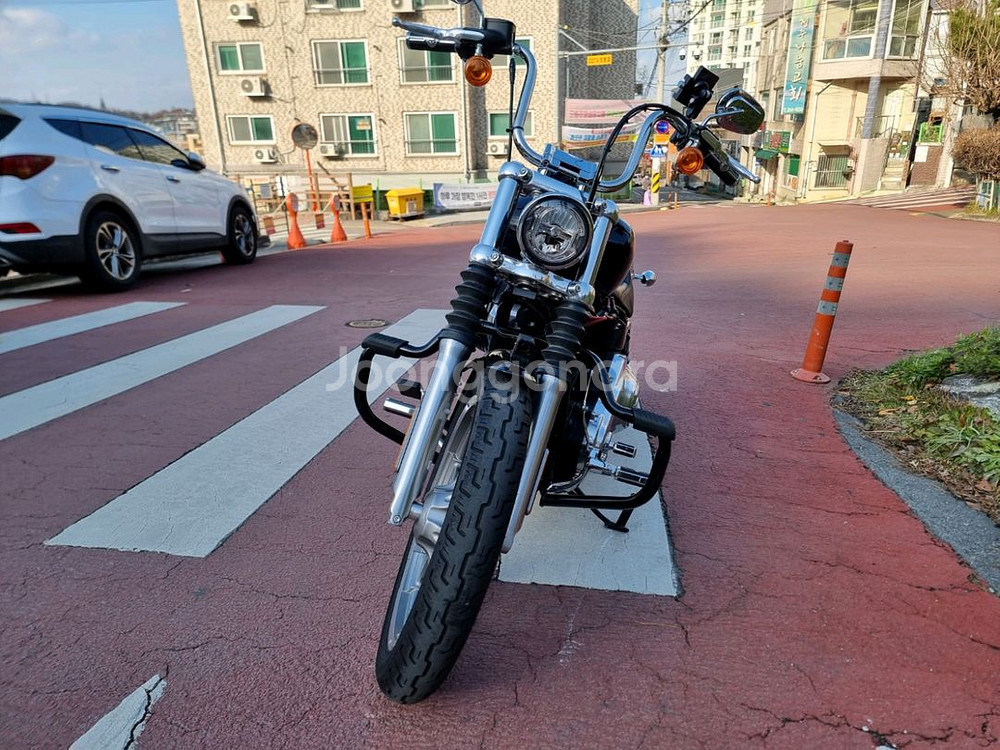 할리데이비슨 소프테일 스탠다드--2