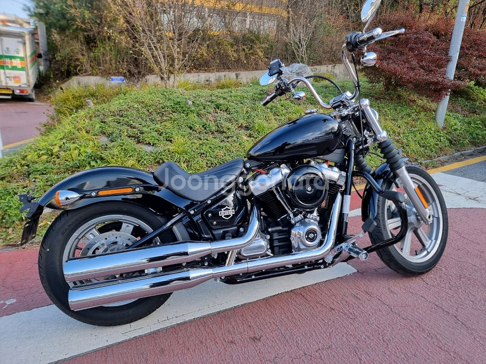 할리데이비슨 소프테일 스탠다드--8