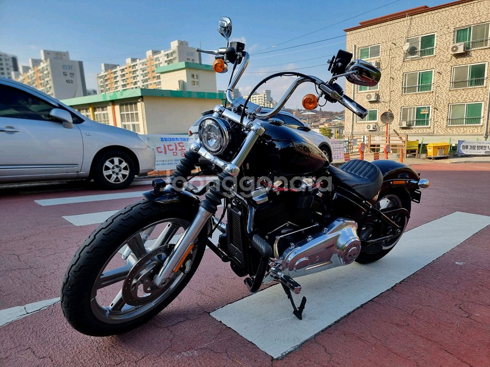 할리데이비슨 소프테일 스탠다드--3