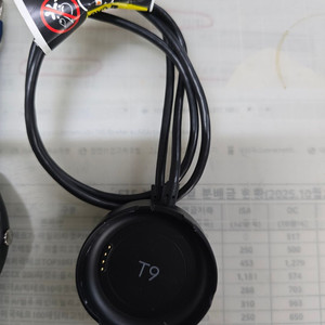 골프워치 보이스캐디 T9