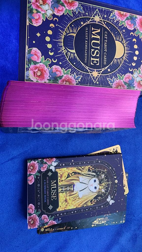 뮤즈캣 마스터 타로카드--3