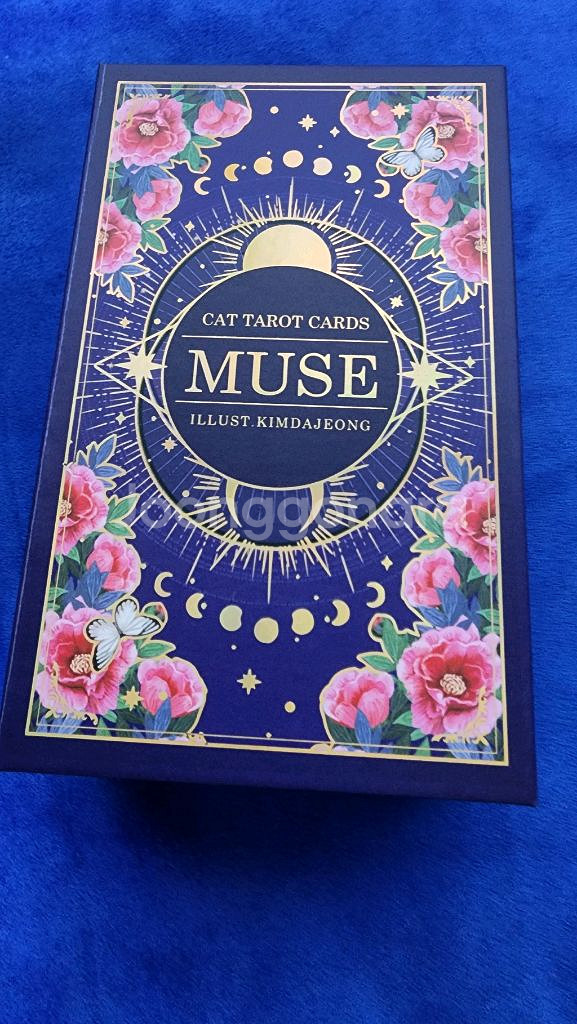 뮤즈캣 마스터 타로카드--0