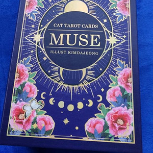 뮤즈캣 마스터 타로카드