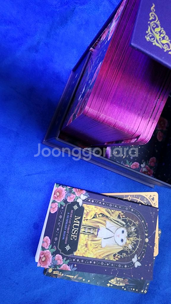 뮤즈캣 마스터 타로카드--4