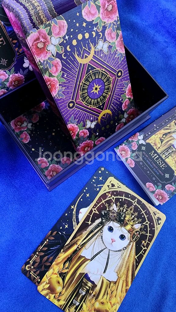 뮤즈캣 마스터 타로카드--1