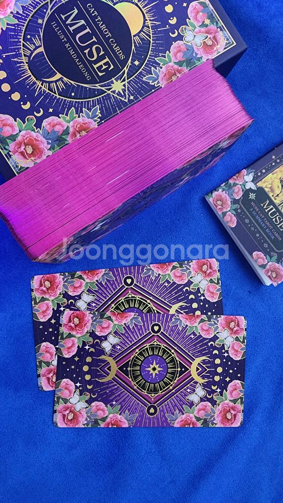 뮤즈캣 마스터 타로카드--2
