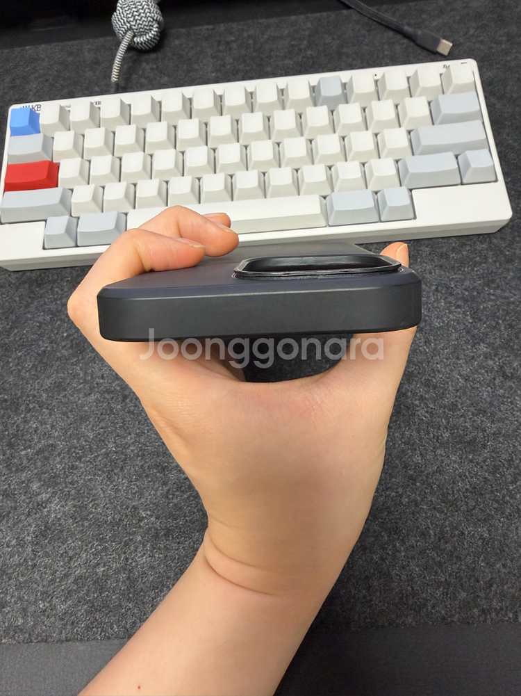 모멘트 아이폰 15 프로 맥스 맥세이프 케이스--5