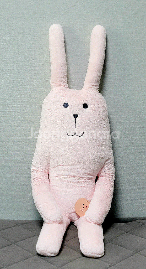 굿즈 및 여러인기 캐릭터 대 중 소 카카오 푸우 도라에몽 피카츄 기타 인형 쿠션 조명 신품 일괄판매--2